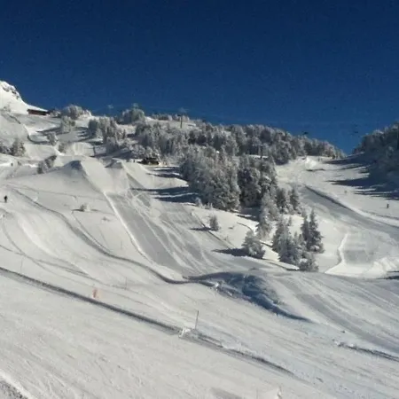 Les Carlines 11 Chamrousse